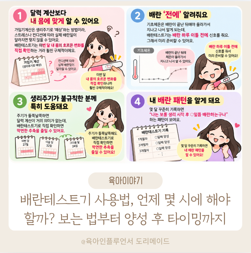 배란테스트기 사용법, 언제 몇 시에 해야 할까? 보는 법부터 양성 후 타이밍까지