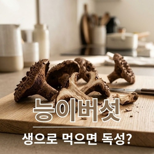 능이버섯 효능과 먹는법, 능이버섯 보관법까지 한 번에 정리