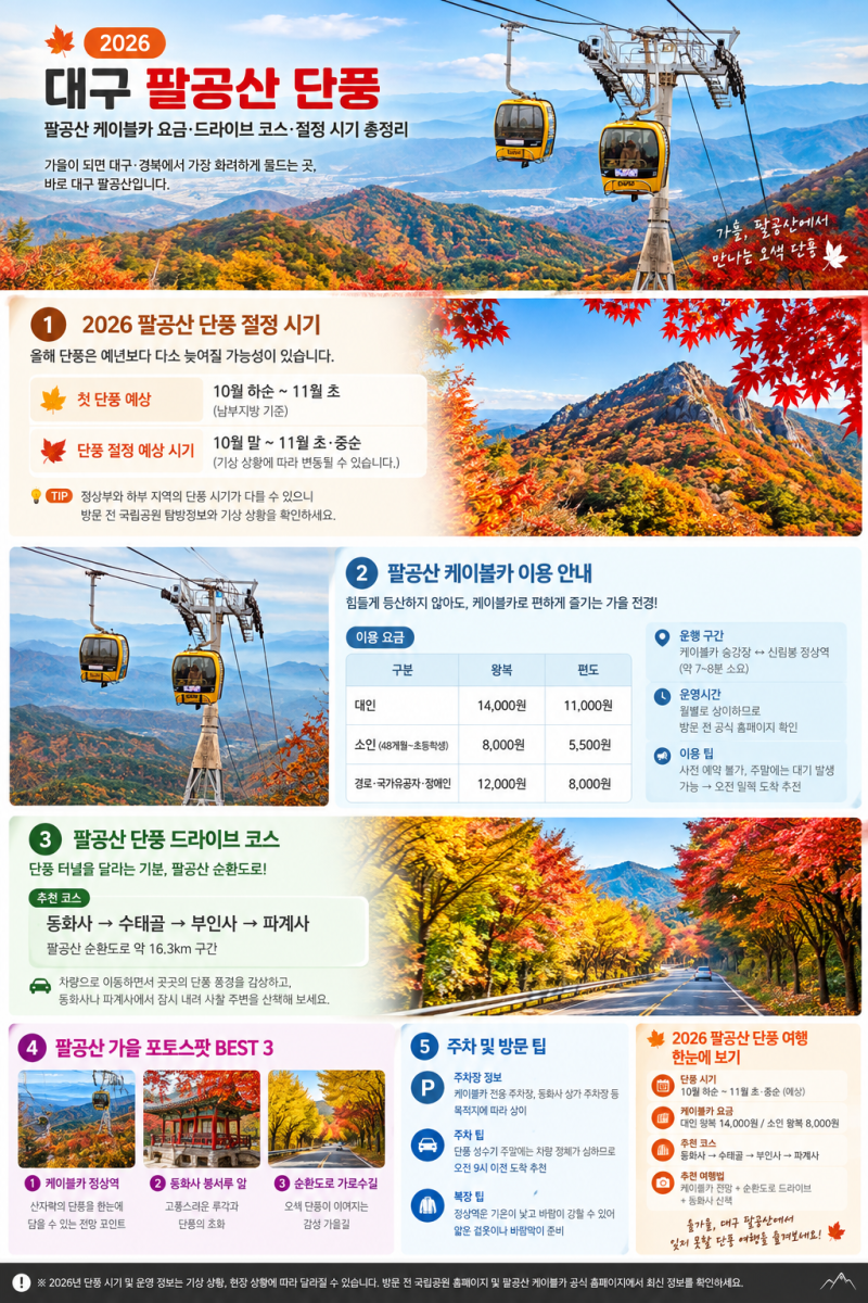 2026 대구 팔공산 단풍 완벽 정리: 케이블카 요금·드라이브 코스·절정 시기 총정리
