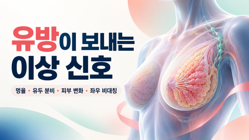 유방에 멍울이 만져진다면? 유방암 의심 증상과 유방촬영·초음파 차이