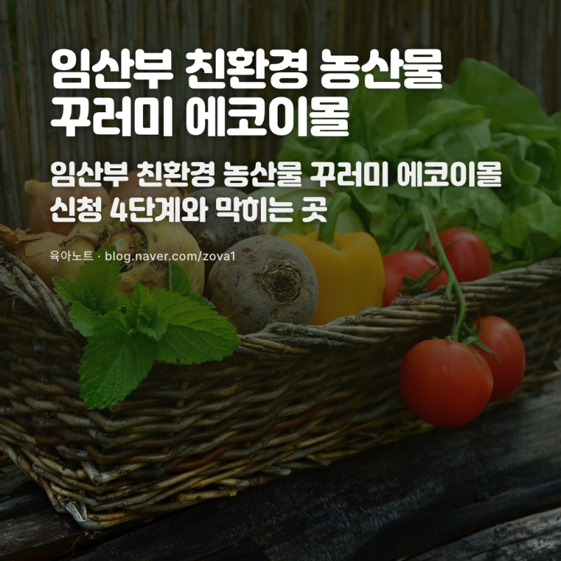 임산부 친환경 농산물 꾸러미 에코이몰 신청 4단계와 막히는 곳
