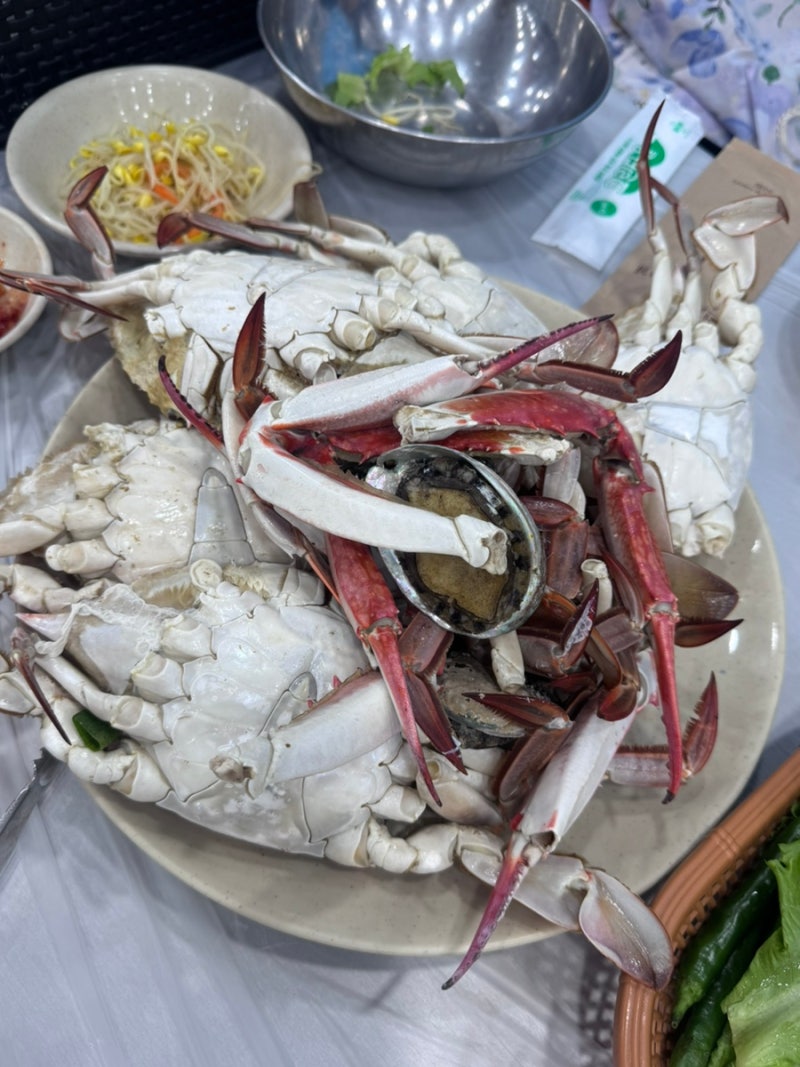 마포농수산물시장 꽃게찜 시세 연안수산 & 마포회관 후기