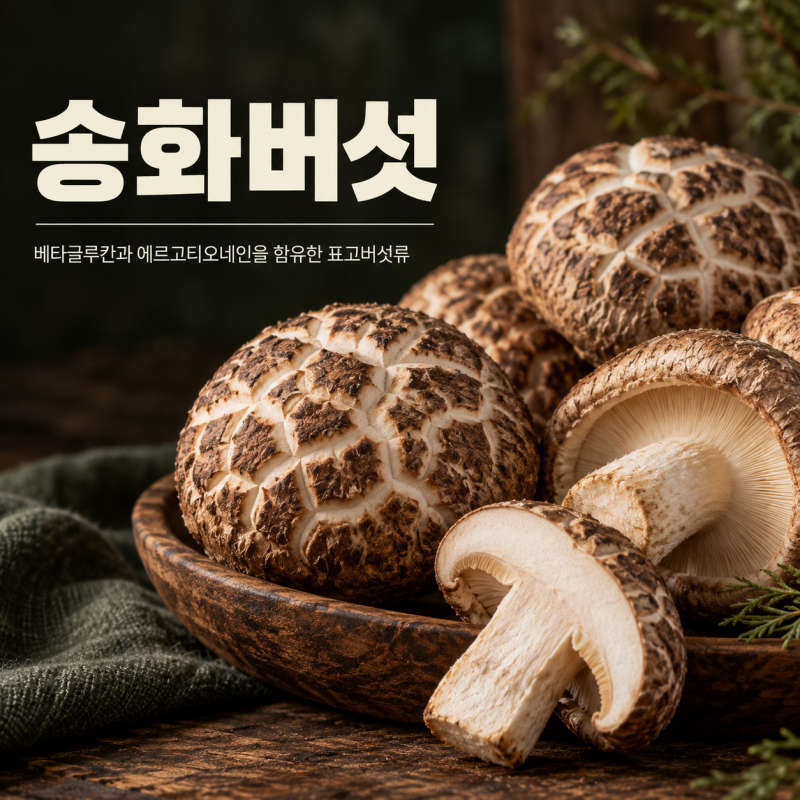 송화버섯 효능 8가지 요리 먹는법 보관법 부작용
