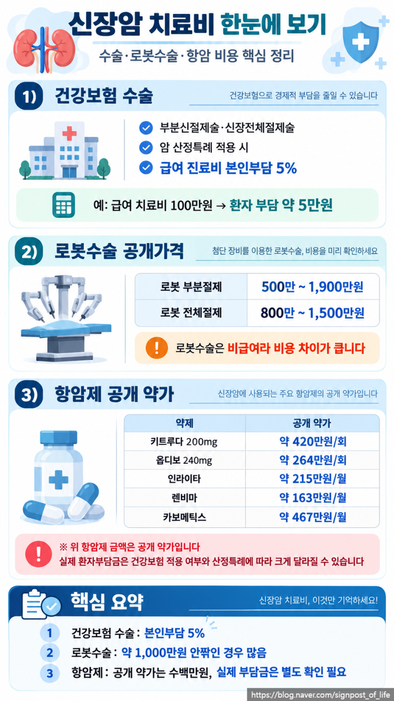 신장암 치료비 얼마일까? 수술·로봇수술·항암 비용 총정리