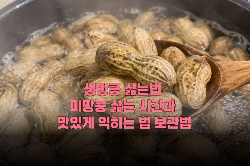생땅콩 삶는법 피땅콩 삶는 시간과 맛있게 익히는 법 보관법