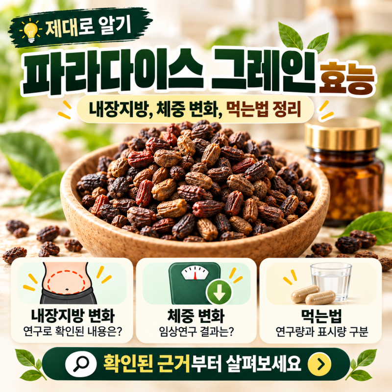 파라다이스 그레인 효능 제대로 알기: 내장지방·체중 감소에 실제 도움 될까요? 먹는법 정리
