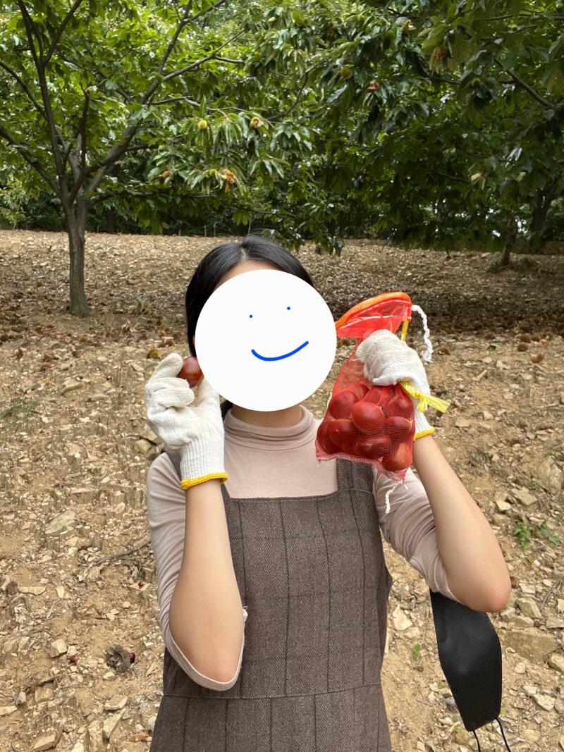 공주 사람이 알려주는 가을 밤체험 농장 리스트, 주의점, 준비물