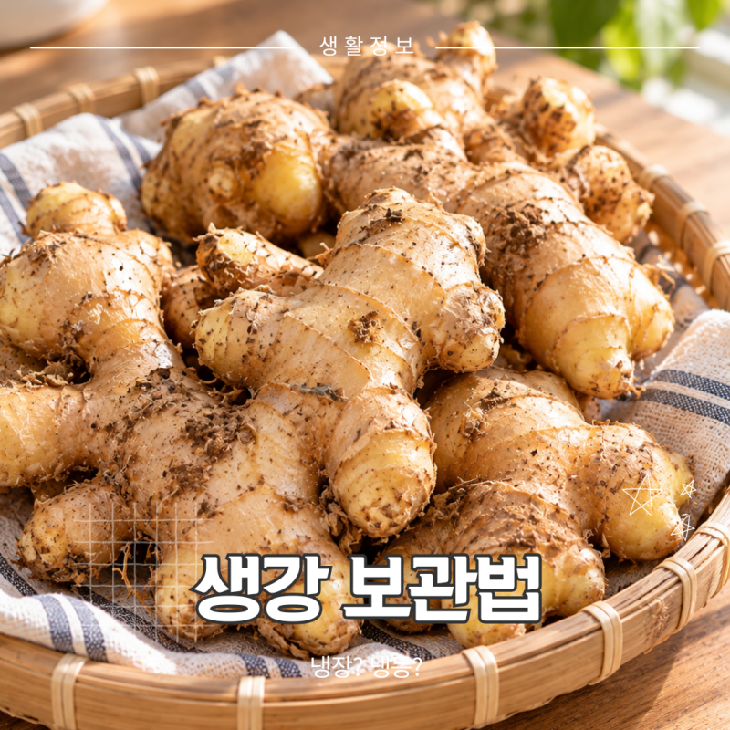 생강 보관법 냉장 냉동 어떻게? 오래 두는 방법