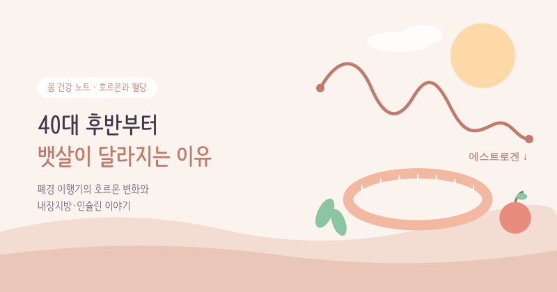 40대 후반부터 뱃살이 달라지는 이유: 폐경 이행기 호르몬과 내장지방·인슐린 이야기