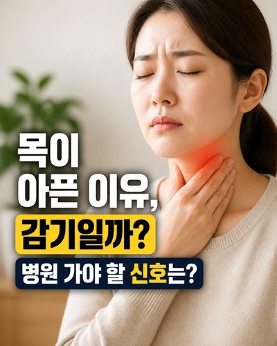 목이 아픈 이유, 감기부터 병원 진료가 필요한 신호까지