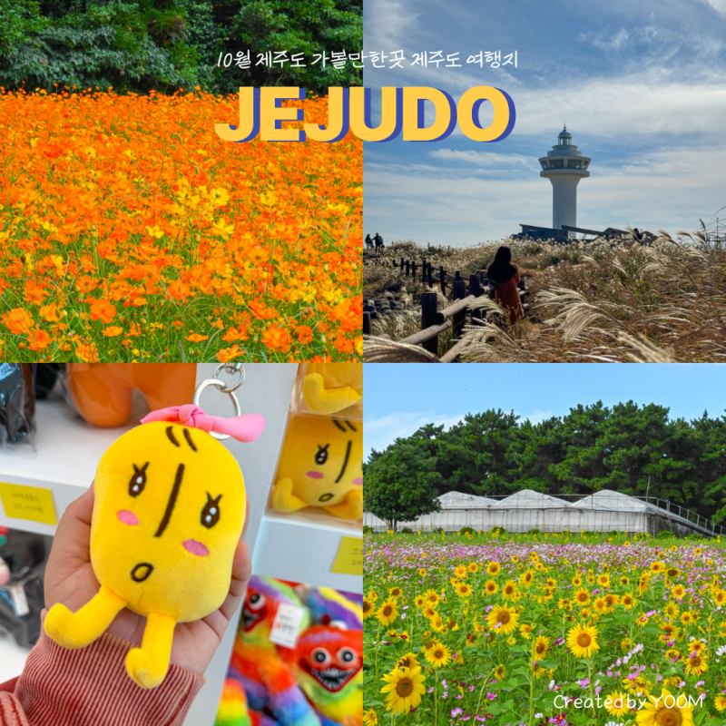 10월 제주도 가볼만한곳 제주도 여행지 추천