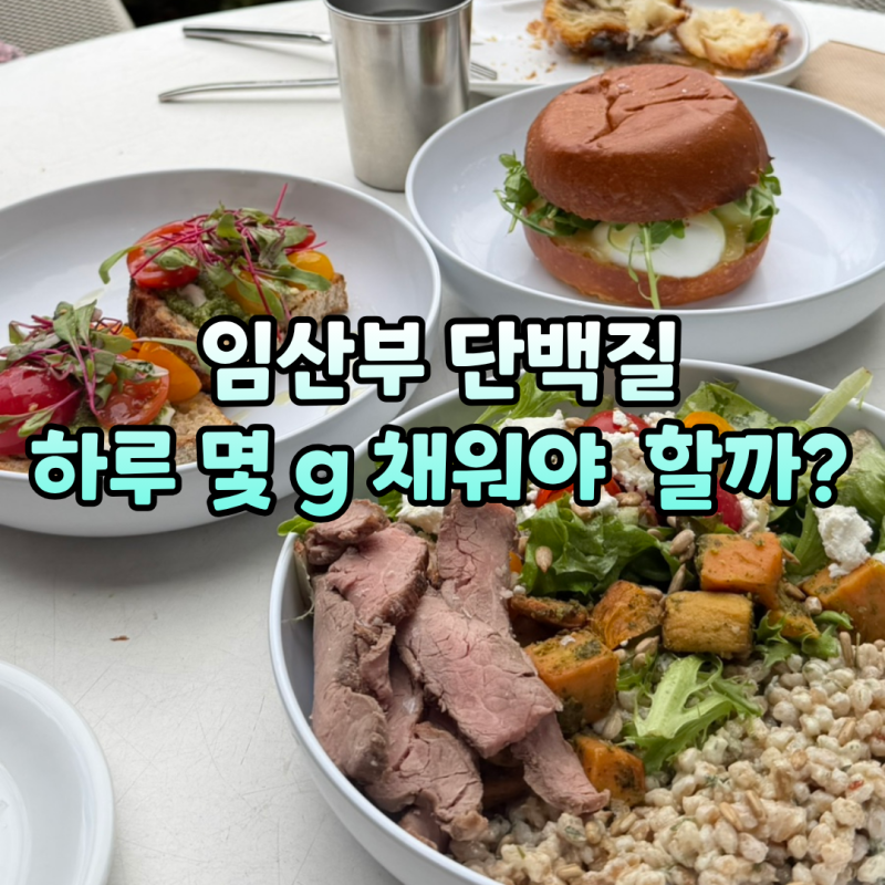 임산부 단백질 하루 몇 g 먹어야 할까? 초기·중기·후기별 식단 정리