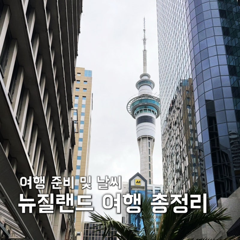 뉴질랜드 여행 준비(NZeTA 비자, 어댑터, 3월&7월 날씨와 옷차림, 렌트카 추천, 운전 주의사항 ....