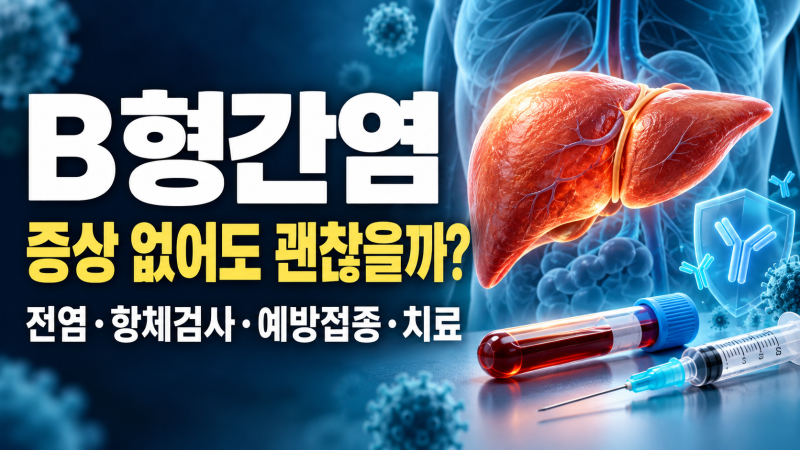 B형간염 초기증상 없어도 괜찮을까? 전염 경로·항체검사·예방접종·치료 정리