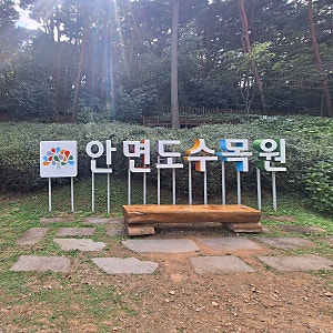 태안 여행 ::  안면도자연휴양림, 안면도 수목원, 아름다운 산책길을 걷다