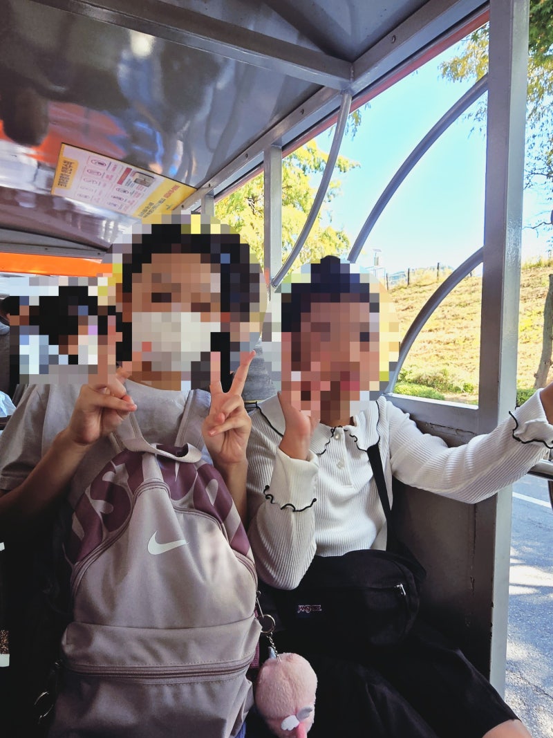 과천 서울대공원 동물원 코끼리열차 예매 가격 코스 대기시간 타는곳 총정리