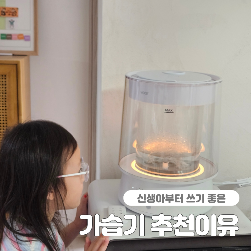 아기 가열식 가습기 추천이유 대용량 세척방법까지