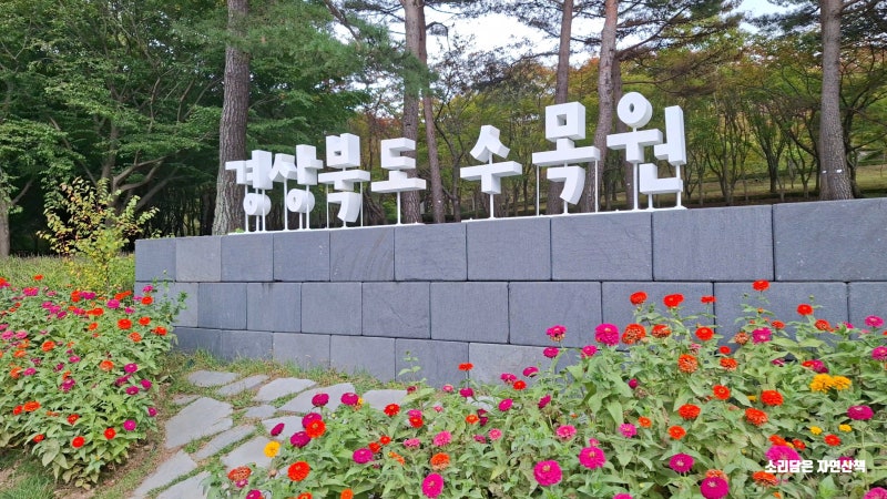 [포항 가볼 만한 곳] 자연·체험·민속이 함께하는 '경상북도 수목원' 종합 방문 가이드