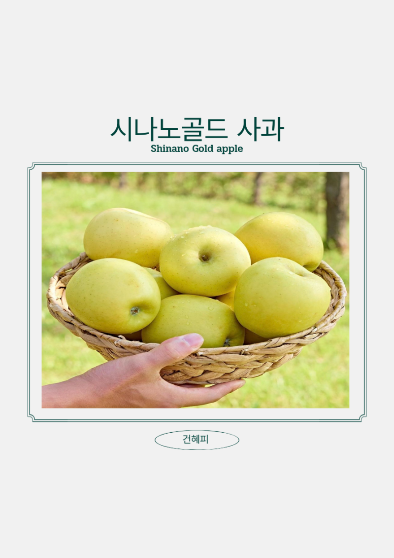 가을 제철 과일 노란 사과 시나노골드 사과