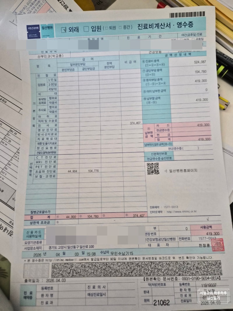 4.임신일기_니프티검사&1차 기형아검사(일산병원 니프티검사 금액) 그리고 일산차병원 첫 진....