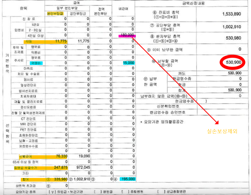 치질수술 받았는데 보험금은? K64 치핵절제술과 실손 · 질병종수술비 확인법