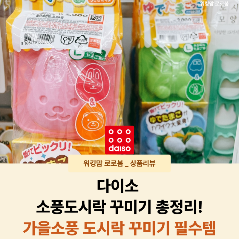 어린이집 가을소풍 도시락 어떻게 쌀까? 다이소 쇼핑리스트 추천템 소풍도시락 꾸미기 총정....