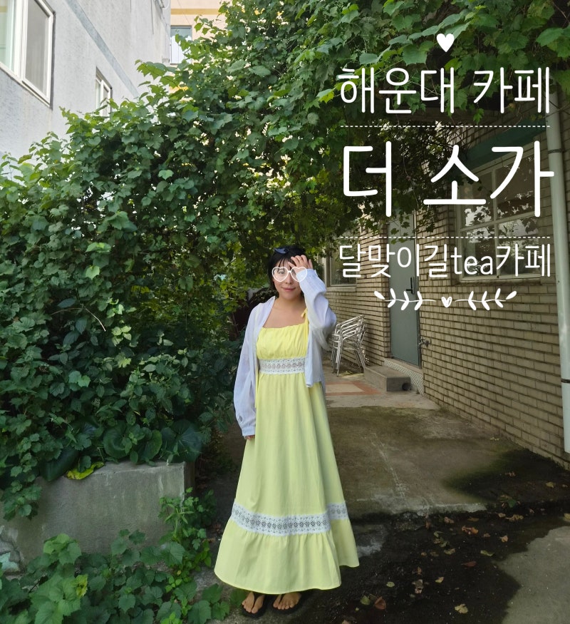 해운대 달맞이길 애견동반 카페 더소가, 부산 조용한 티카페 추천