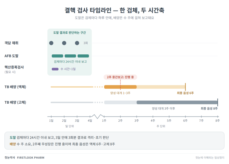 결핵 검사 세트와 격리판단 ㅣ AFB 도말·TB 배양·핵산증폭검사