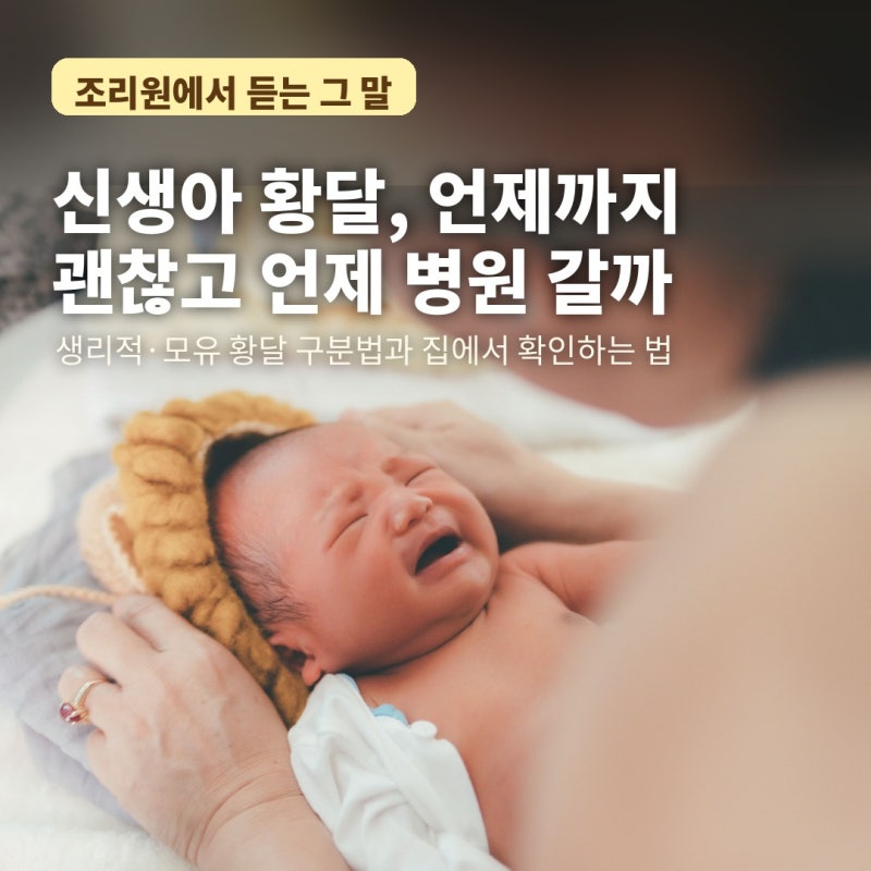 우리 아기 노래요, 신생아 황달 언제까지 괜찮고 언제 병원 가야 할까