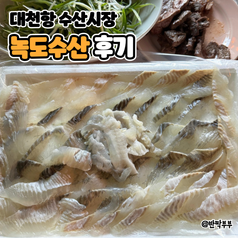 대천항 수산시장 맛집 대천 횟집 추천 6시 내고향 방영 녹도수산