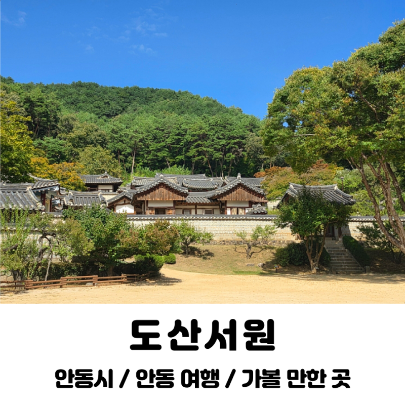 안동 가을 가볼만한곳 추천 도산서원 주차장 화장실 후기