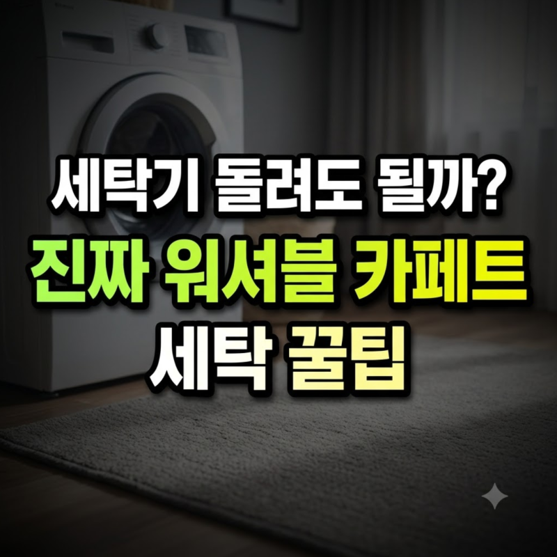 세탁기 돌렸다가 망가진 거실 카페트? '진짜 워셔블' 구별법과 세탁 꿀팁