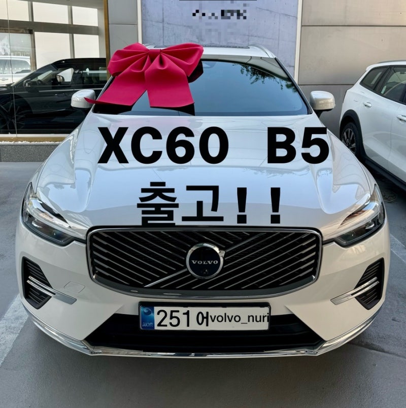 패밀리카의 정석 볼보 XC60 화이트 출고 후기 | 딜러서비스 정나누리