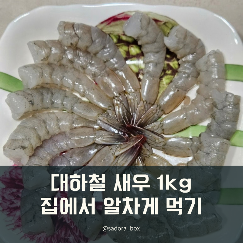 대하철 생새우회 소금구이 버터구이｜새우 1kg 알차게 먹는법