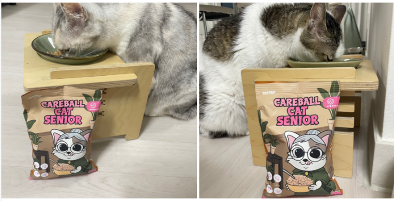 [주트립 ZOTRIP] 고양이 하얀사료 CAREBALL SENIOR