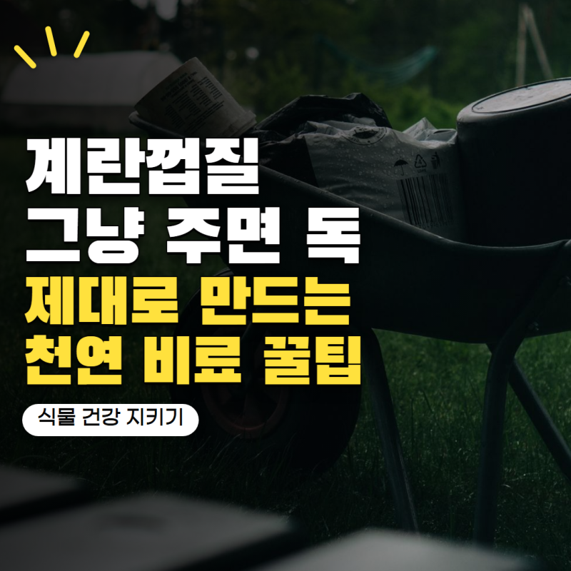 계란껍질 식물에 좋다는데 그냥 넣으면 안 돼요! 제대로 활용하는 방법