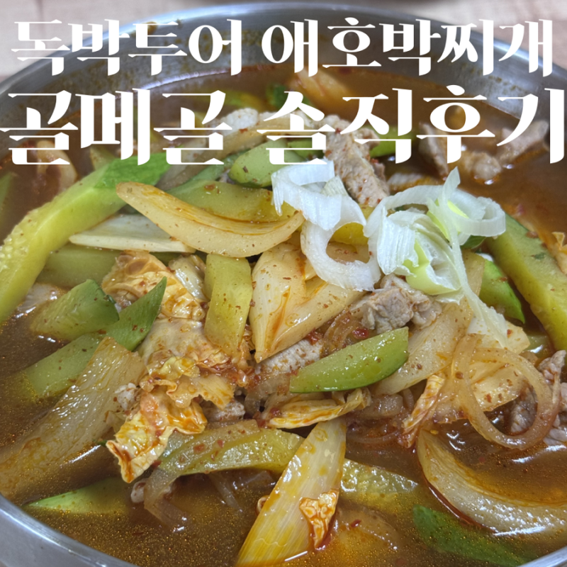 광주 애호박찌개 독박투어 출연한 골메골 실망한 솔직후기…