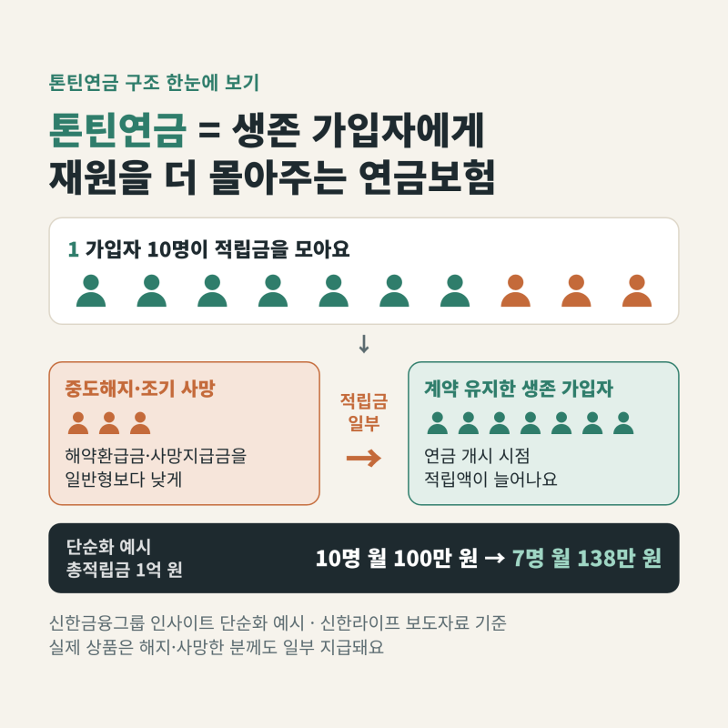 톤틴연금 뜻, 일반 연금보험 비교와 비과세 요건 정리