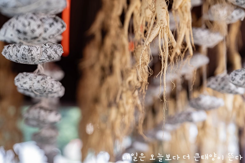 10월 10~11일 전국 주말 축제 총정리