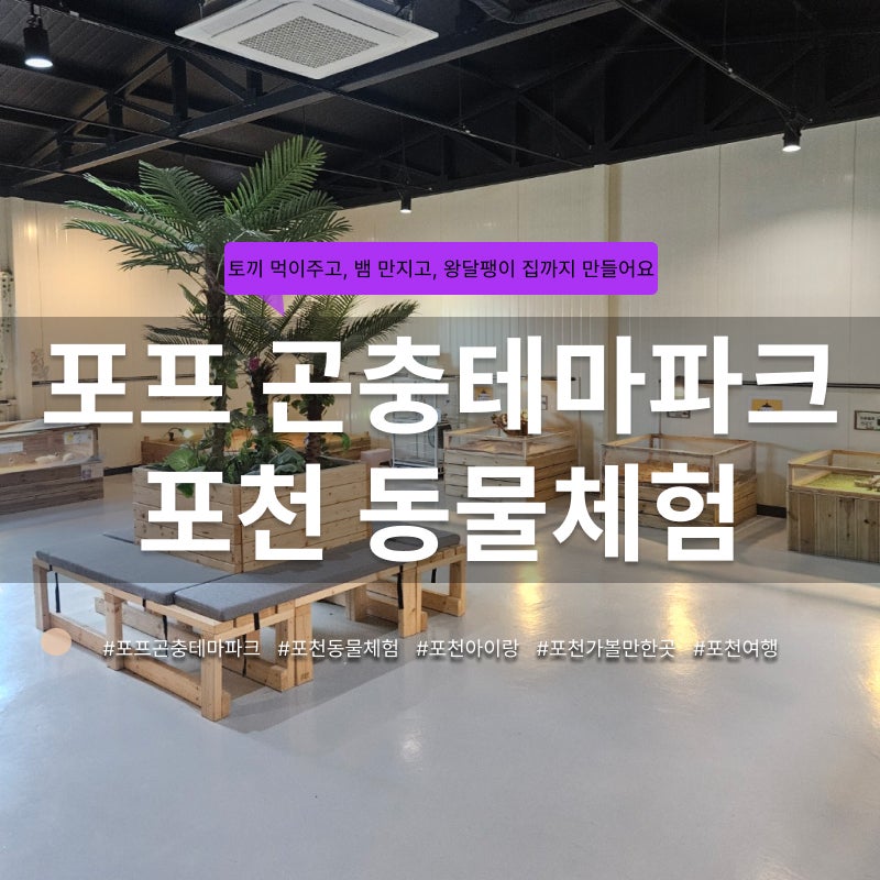 포천 아이와 가볼만한곳 포프 곤충테마파크 왕달팽이 집 만들기 파충류 체험 후기