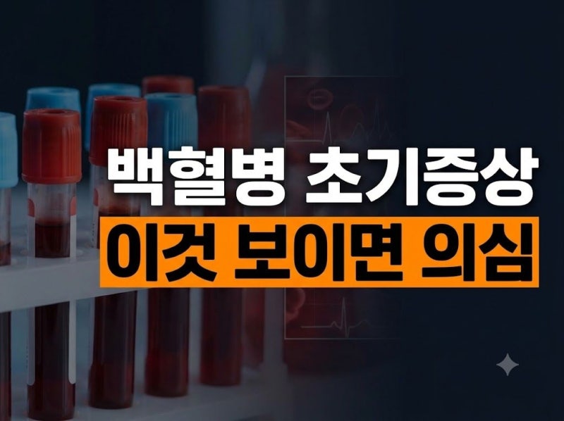 백혈병 초기 증상 5가지: 멍, 피로감 등 의심 신호와 치료법 총정리