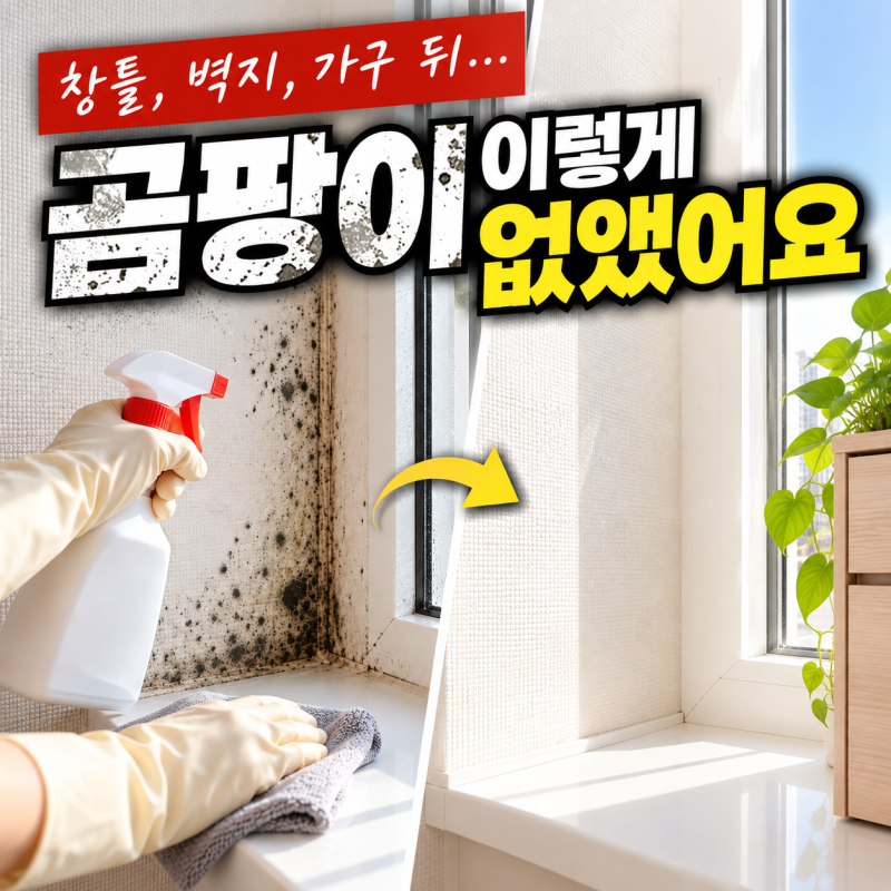 벽 곰팡이 그냥 닦으면 끝? 벽지 얼룩 제거할 때 꼭 알아야 할 곰팡이 제거 방법
