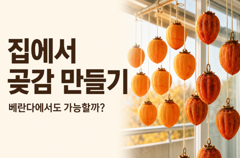 집에서 곶감 만들기, 베란다에서 말려도 될까? 감 고르기부터 곰팡이 주의점까지