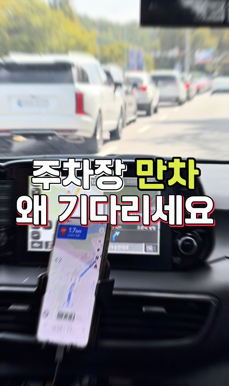 서울대공원·에버랜드 발레주차 꿀팁! 만차에도 줄 안서고 주차하는 꿀팁 대방출