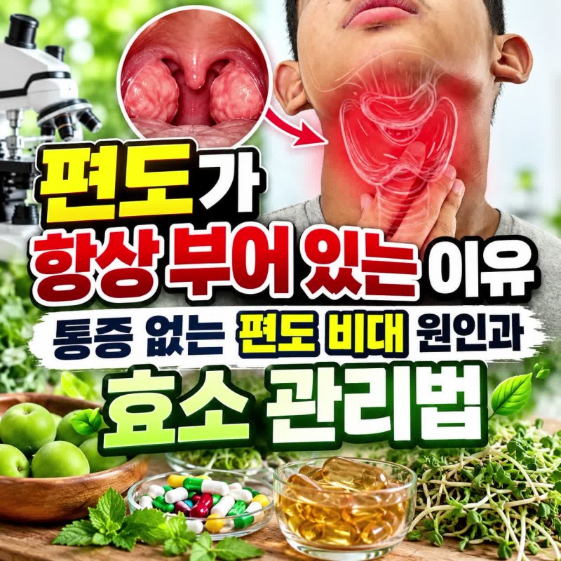 편도가 항상 부어 있는 이유, 통증 없는 편도 비대 원인과 효소 관리법