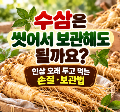 수삼은 씻어서 보관해도 될까요?｜인삼 오래 두고 먹는 손질·보관법