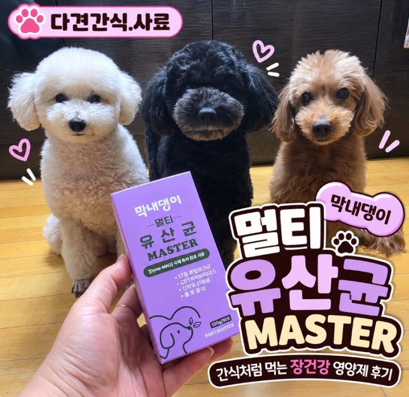 강아지유산균 막내댕이 멀티 유산균 마스터 간식처럼 먹는 장건강 영양제 후기