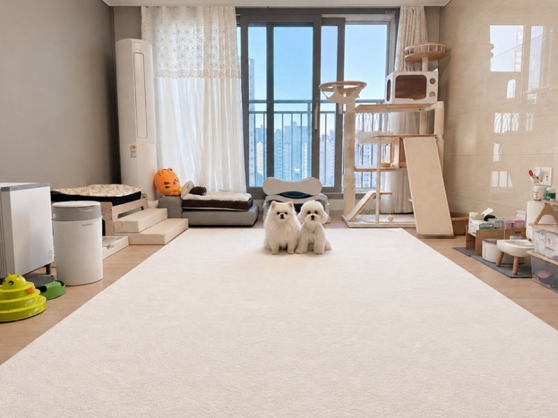 릴리브 강아지매트 미끄럼방지 논슬립 방수원단 거실매트 고양이 펫러그 3세대