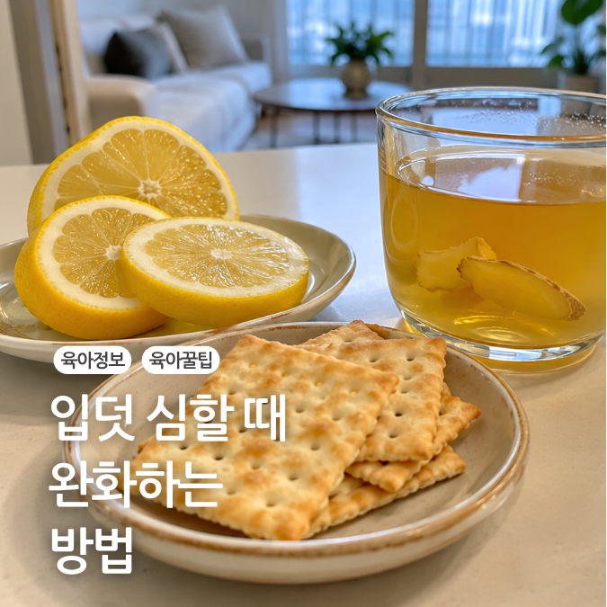 임신 초기 증상 입덧 심할때 완화음식 완화방법