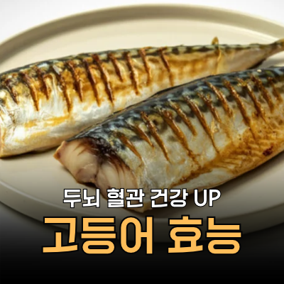 고등어 효능 이 질환 있는 분은 오히려 독? 부작용, 칼로리, 영양성분, 먹는법ㅣ망고의 식탁....